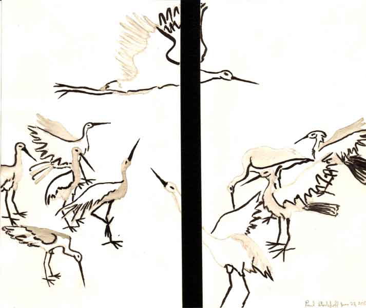 cranes.jpg