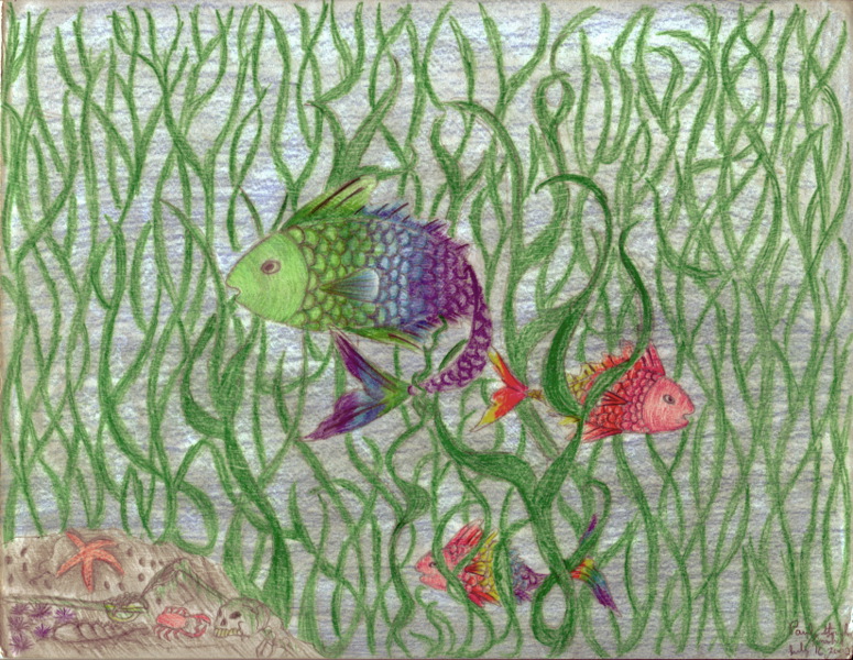 underwaterforest.jpg
