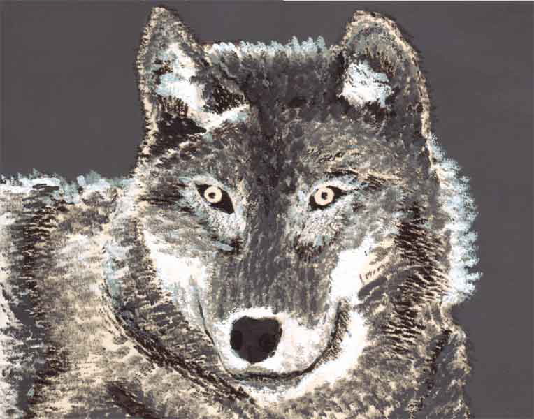 wolf.jpg