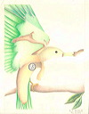 bananabird