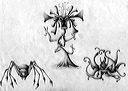 fantasyanimals